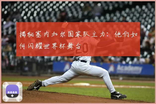 揭秘塞内加尔国家队主力:他们如何闪耀世界杯舞台