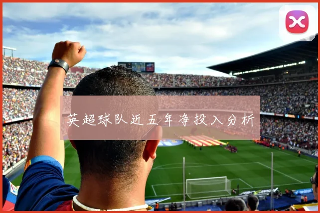 英超球队近五年净投入分析