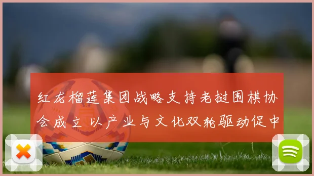 红龙榴莲集团战略支持老挝围棋协会成立 以产业与文化双轮驱动促中老友好