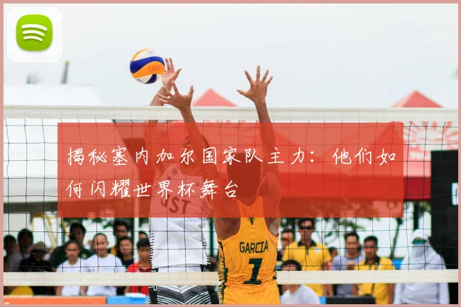 揭秘塞内加尔国家队主力：他们如何闪耀世界杯舞台