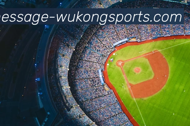 多媒体互动体验